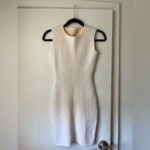 BCBGMazAzria Jacquared Dress